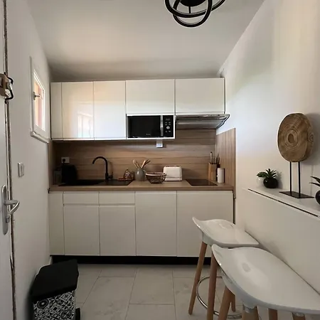 Studio Renove Avec Parking Et Climatisation Pour 2 Personnes - Fr-1-749-71